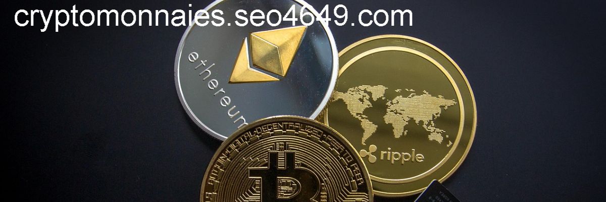 cryptomonnaies.seo4649.com